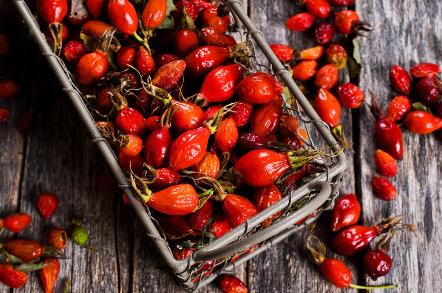 Ingredient Highlight <br>Rosehip Seed Oil